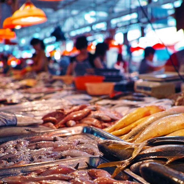 China fish markets