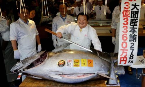 Japan's seafood market